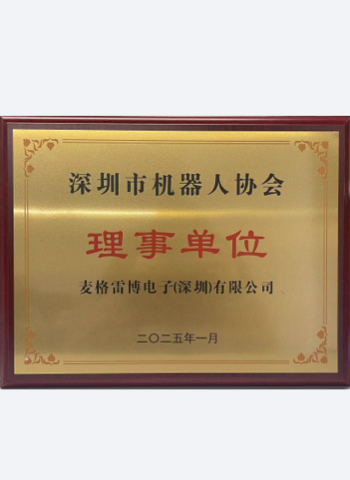 Director of Shenzhen Robot Industry Association