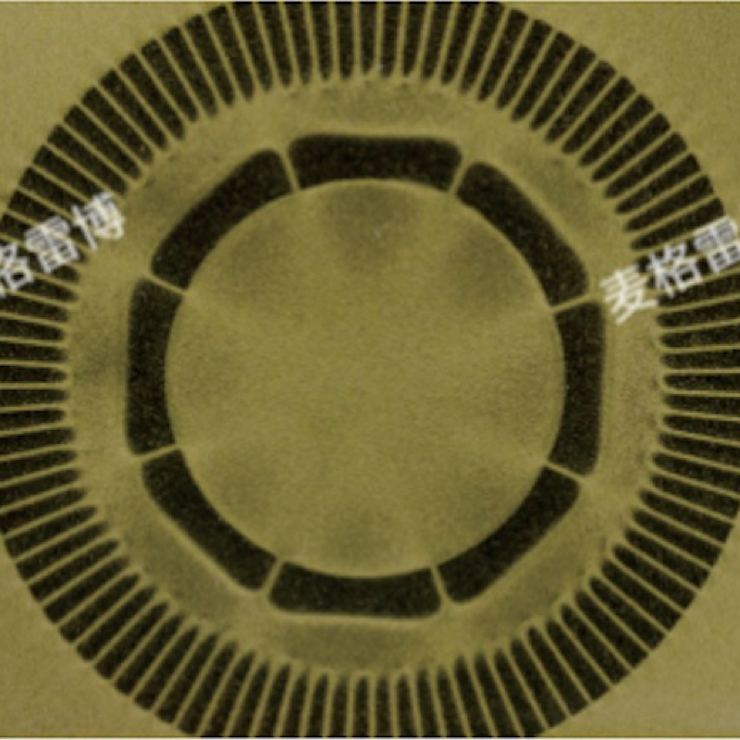 Multipole Magnetic Ring